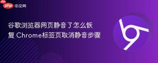 谷歌浏览器网页静音了怎么恢复 Chrome标签页取消静音步骤