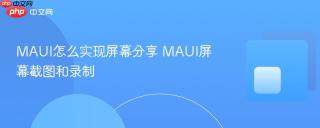 maui怎么实现屏幕分享 maui屏幕截图和录制