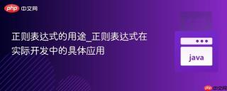 正则表达式的用途_正则表达式在实际开发中的具体应用