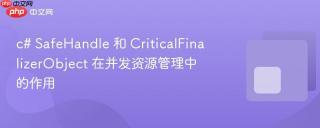 c# SafeHandle 和 CriticalFinalizerObject 在并发资源管理中的作用