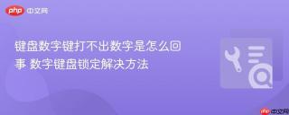 键盘数字键打不出数字是怎么回事 数字键盘锁定解决方法