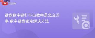 键盘数字键打不出数字是怎么回事 数字键盘锁定解决方法