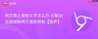 网页禁止复制文字怎么办 谷歌浏览器破解网页复制限制【插件】