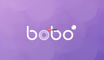 bobo浏览器怎么查看保存的密码 bobo浏览器管理已记住的网站密码方法【安全】