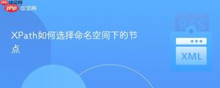 XPath如何选择命名空间下的节点
