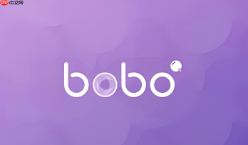 波波浏览器官网 bobo浏览器网页版入口