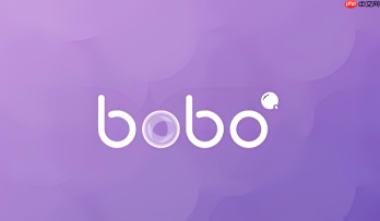 波波浏览器官方网站 bobo浏览器官网直接进入口