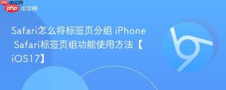 Safari怎么将标签页分组 iPhone Safari标签页组功能使用方法【iOS17】