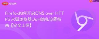 Firefox如何开启DNS over HTTPS 火狐浏览器DoH隐私设置指南【安全上网】