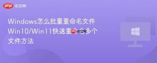 windows怎么批量重命名文件 win10/win11快速重命名多个文件方法