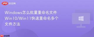 Windows怎么批量重命名文件 Win10/Win11快速重命名多个文件方法
