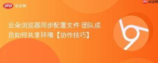 云朵浏览器同步配置文件 团队成员如何共享环境【协作技巧】