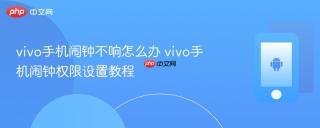 vivo手机闹钟不响怎么办 vivo手机闹钟权限设置教程