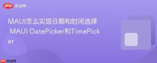 MAUI怎么实现日期和时间选择 MAUI DatePicker和TimePicker