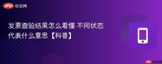发票查验结果怎么看懂 不同状态代表什么意思【科普】