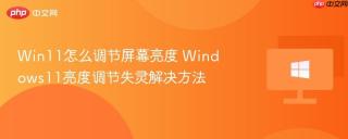 Win11怎么调节屏幕亮度 Windows11亮度调节失灵解决方法