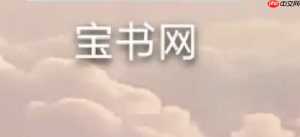 宝书网言情小说入口 宝书网热门言情在线入口