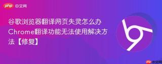谷歌浏览器翻译网页失灵怎么办 Chrome翻译功能无法使用解决方法【修复】