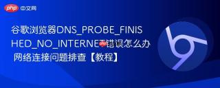 谷歌浏览器dns_probe_finished_no_internet错误怎么办 网络连接问题排查【教程】