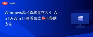 Windows怎么查看显存大小 Win10/Win11查看独立显卡参数方法