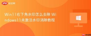 Win11右下角水印怎么去除 Windows11未激活水印消除教程