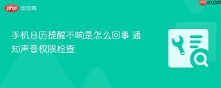 手机日历提醒不响是怎么回事 通知声音权限检查