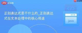 正则表达式是干什么的_正则表达式在文本处理中的核心用途