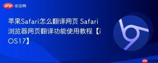 苹果safari怎么翻译网页 safari浏览器网页翻译功能使用教程【ios17】