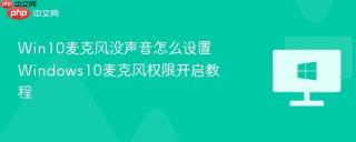 Win10麦克风没声音怎么设置 Windows10麦克风权限开启教程