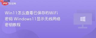 Win11怎么查看已保存的WiFi密码 Windows11显示无线网络密钥教程
