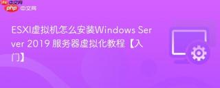 ESXI虚拟机怎么安装Windows Server 2019 服务器虚拟化教程【入门】