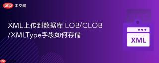 XML上传到数据库 LOB/CLOB/XMLType字段如何存储