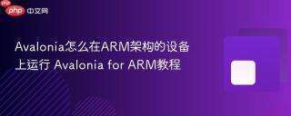 Avalonia怎么在ARM架构的设备上运行 Avalonia for ARM教程