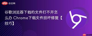 谷歌浏览器下载的文件打不开怎么办 Chrome下载文件损坏修复【技巧】