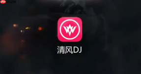 清风dj音乐库电脑版在线听 官方网页版直接入口