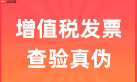 国家税务总局发票查验系统 全国统一查验入口