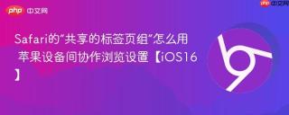 Safari的“共享的标签页组”怎么用 苹果设备间协作浏览设置【iOS16】