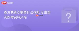 查发票真伪需要什么信息 发票查询所需资料介绍