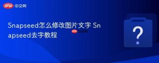 Snapseed怎么修改图片文字 Snapseed去字教程