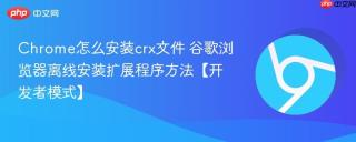 chrome怎么安装crx文件 谷歌浏览器离线安装扩展程序方法【开发者模式】
