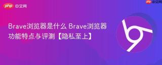 Brave浏览器是什么 Brave浏览器功能特点与评测【隐私至上】