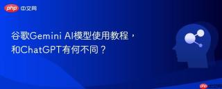 谷歌Gemini AI模型使用教程，和ChatGPT有何不同？