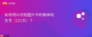 如何用AI识别图片中的物体和文字（OCR）？