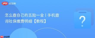 怎么查自己的五险一金 | 手机查询社保缴费明细【教程】