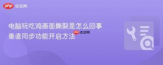 电脑玩吃鸡画面撕裂是怎么回事 垂直同步功能开启方法