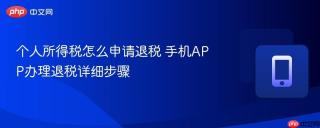 个人所得税怎么申请退税 手机APP办理退税详细步骤