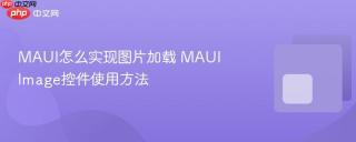 MAUI怎么实现图片加载 MAUI Image控件使用方法