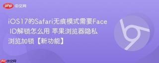 iOS17的Safari无痕模式需要Face ID解锁怎么用 苹果浏览器隐私浏览加锁【新功能】