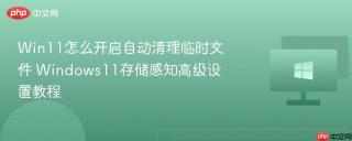 Win11怎么开启自动清理临时文件 Windows11存储感知高级设置教程
