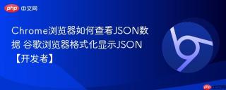 Chrome浏览器如何查看JSON数据 谷歌浏览器格式化显示JSON【开发者】